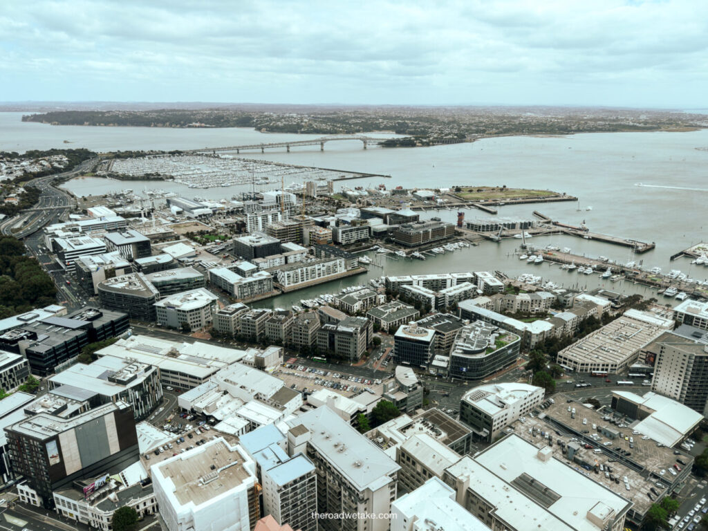 auckland skyline