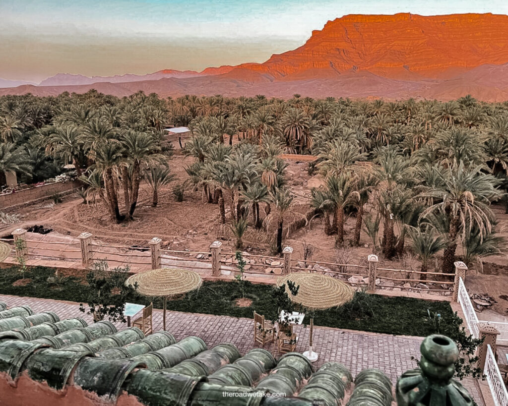 palms and mountains in the desert