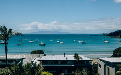 Waiheke Wine Tasting Guide: Everything You Need to Know