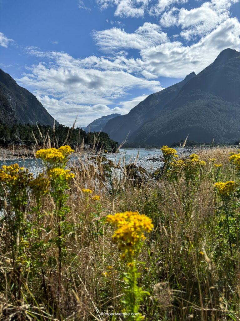 view from milford sound lodge