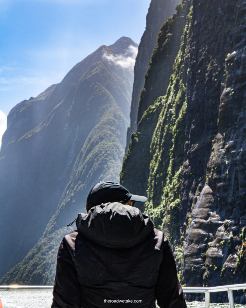 milford sound premium cruise with realnz