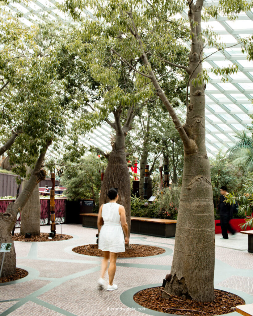 flower dome at gardens by the bay