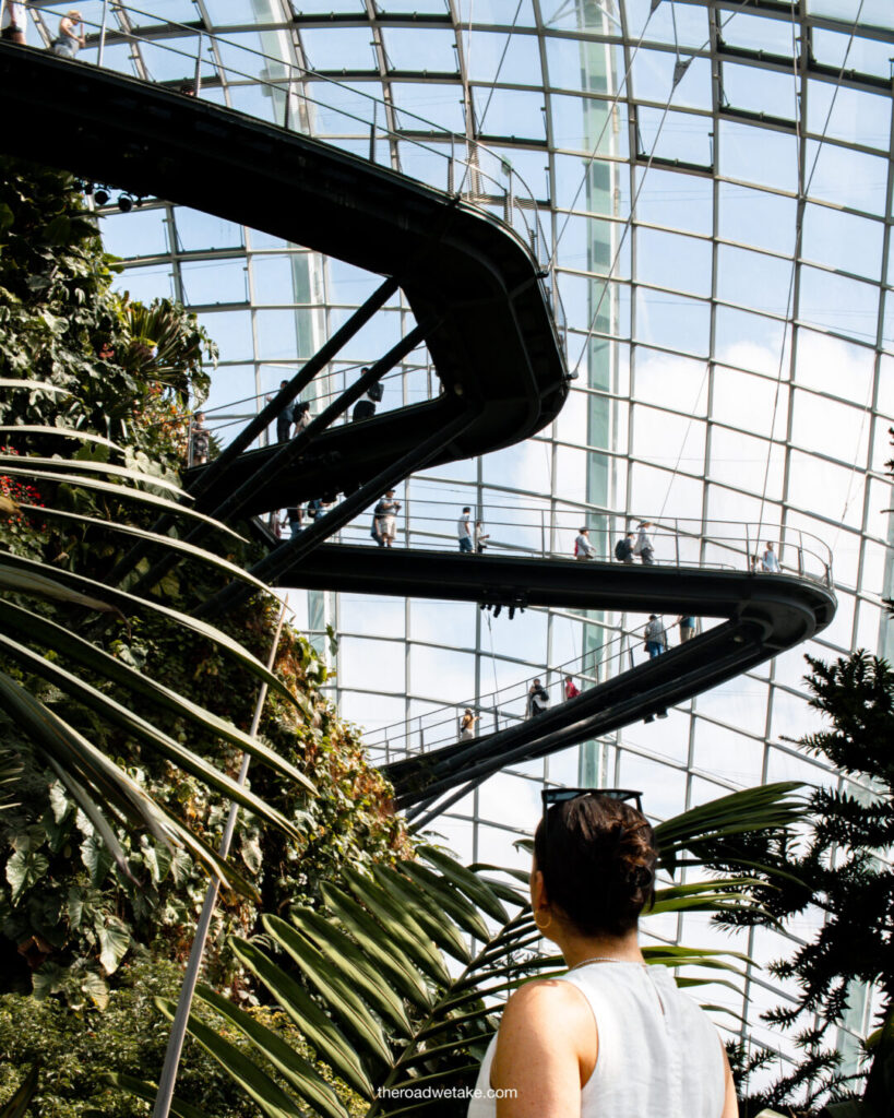 cloud forest at gardens by the bay