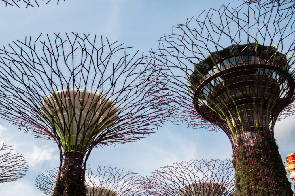 supertrees at gardens by the bay