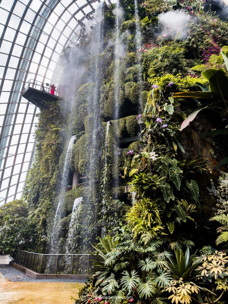 cloud forest at gardens by the bay