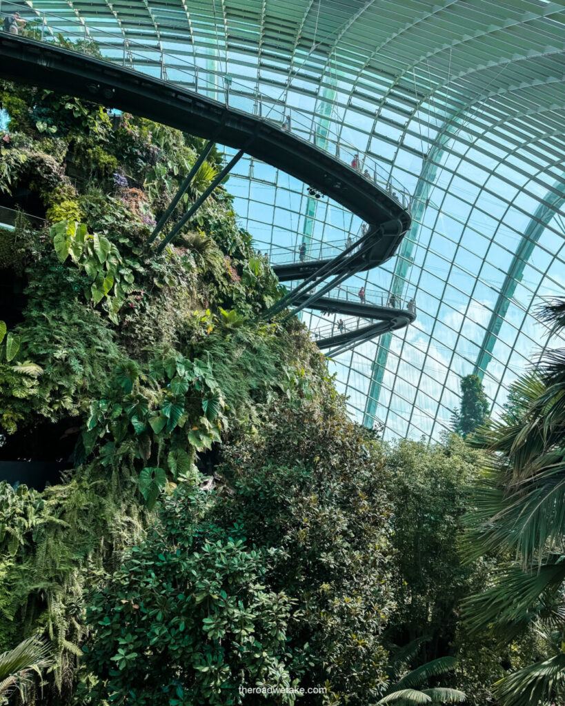 cloud forest at gardens by the bay