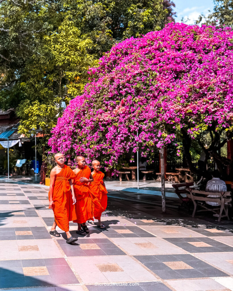 chiang mai florals & monks