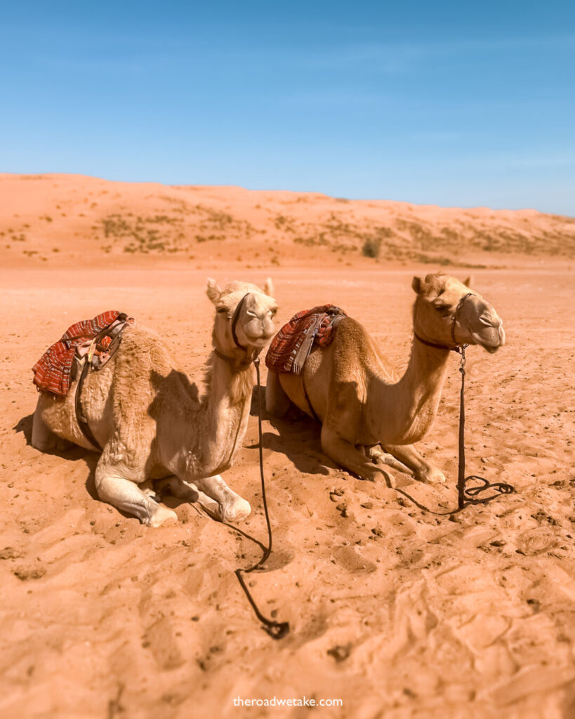 wahiba sands desert, oman