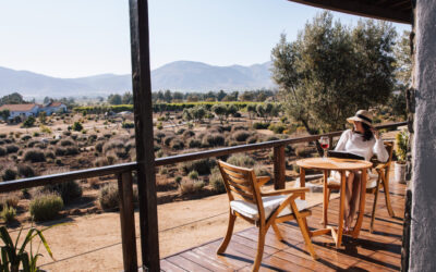 Ultimate Guide to Valle de Guadalupe: Mexico’s Hidden Wine Paradise (2024)