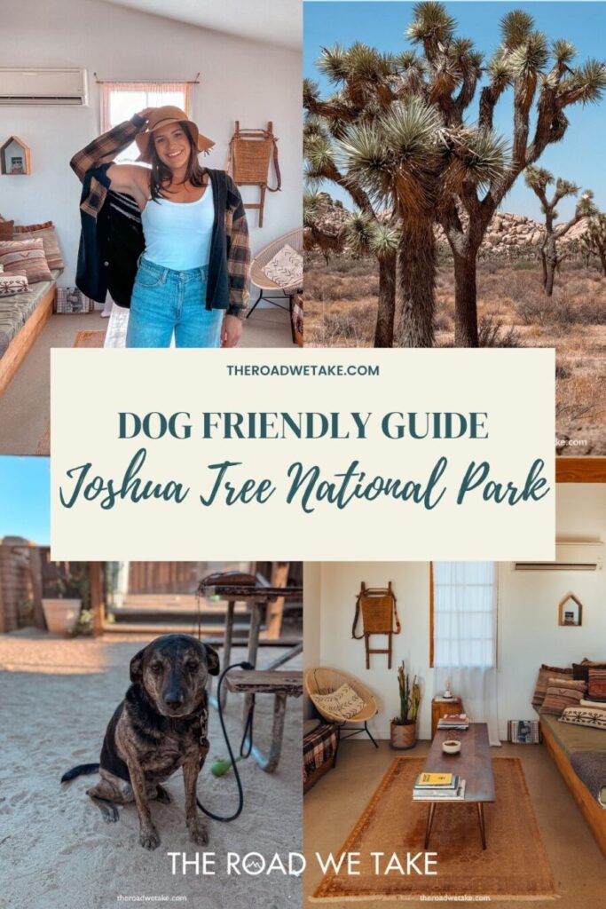 joshua tree dog friendly guide