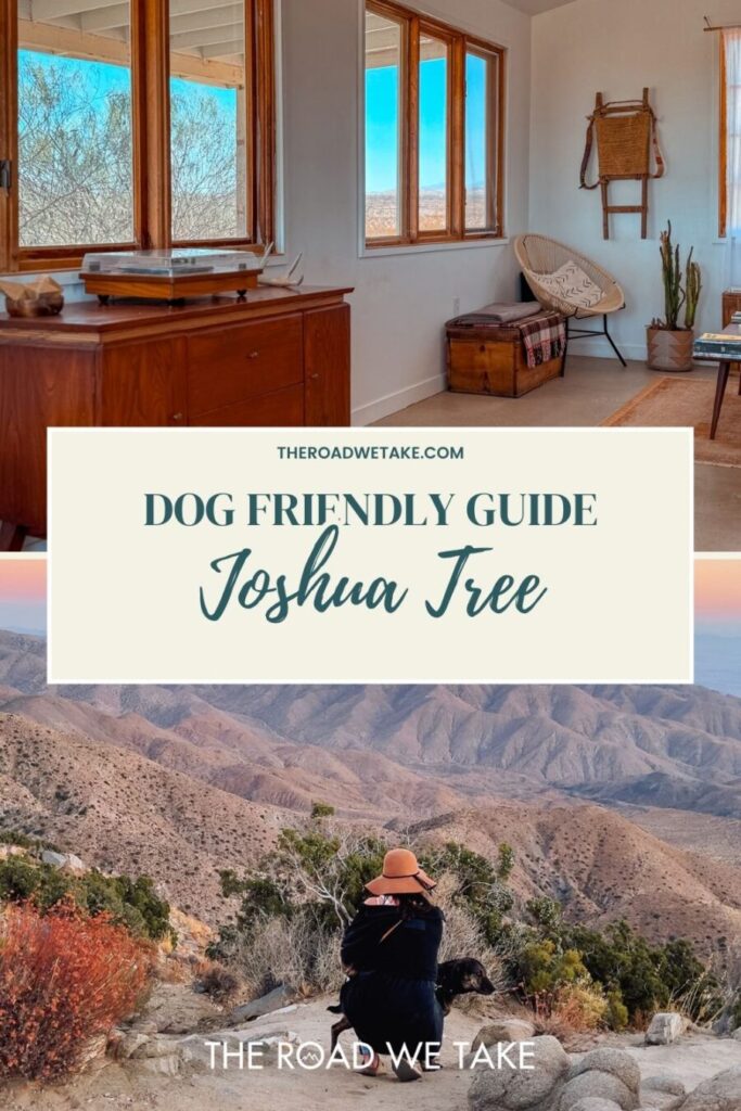 joshua tree dog friendly guide