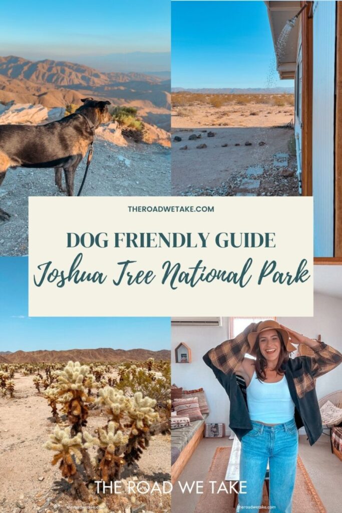 joshua tree dog friendly guide