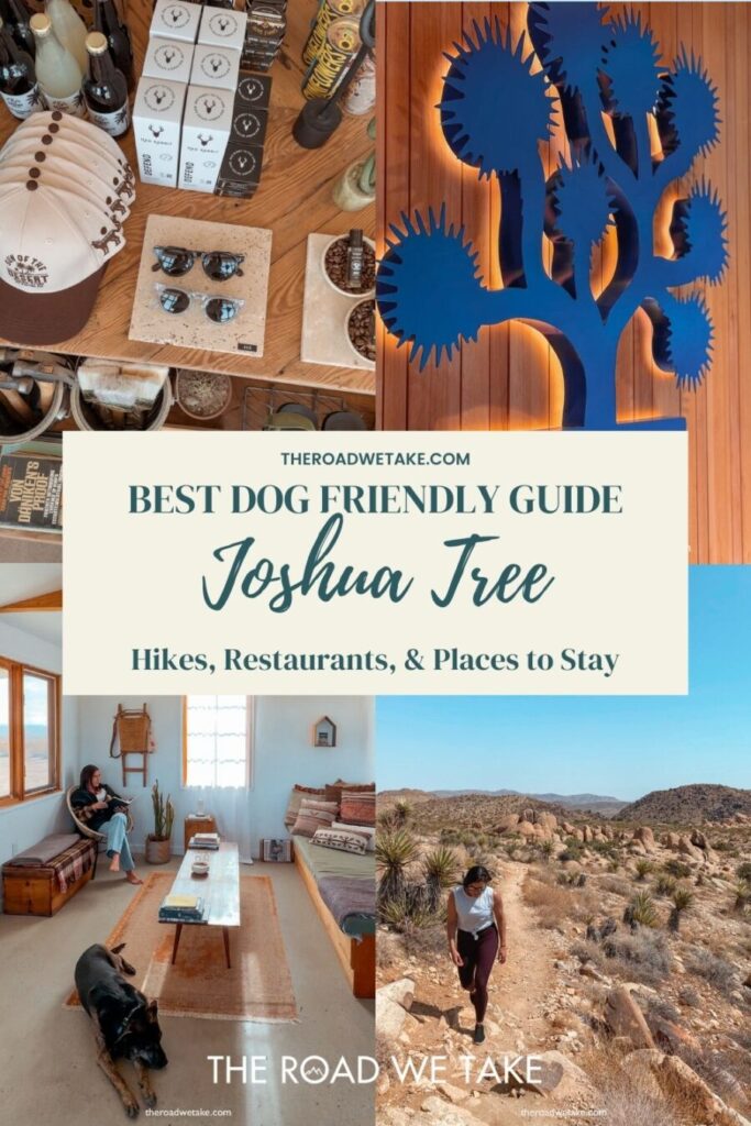 joshua tree dog friendly guide