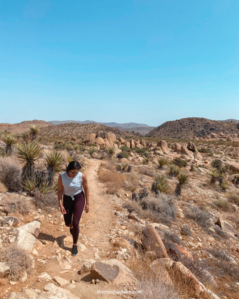 joshua tree hike