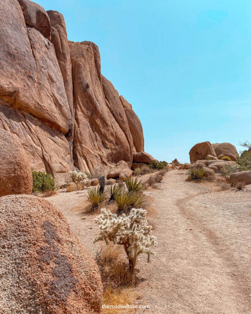 joshua tree rocks