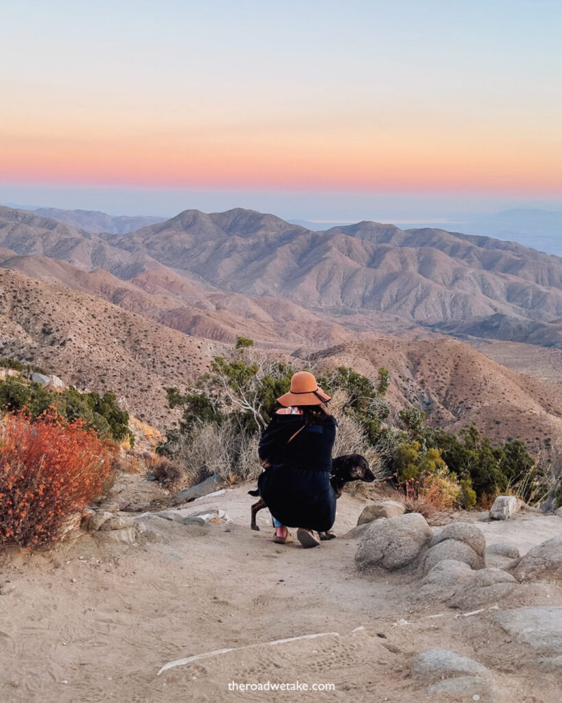 keys view joshua tree